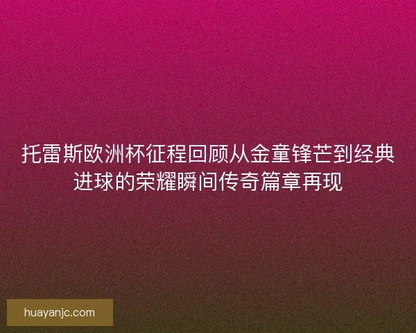 托雷斯欧洲杯征程回顾从金童锋芒到经典进球的荣耀瞬间传奇篇章再现